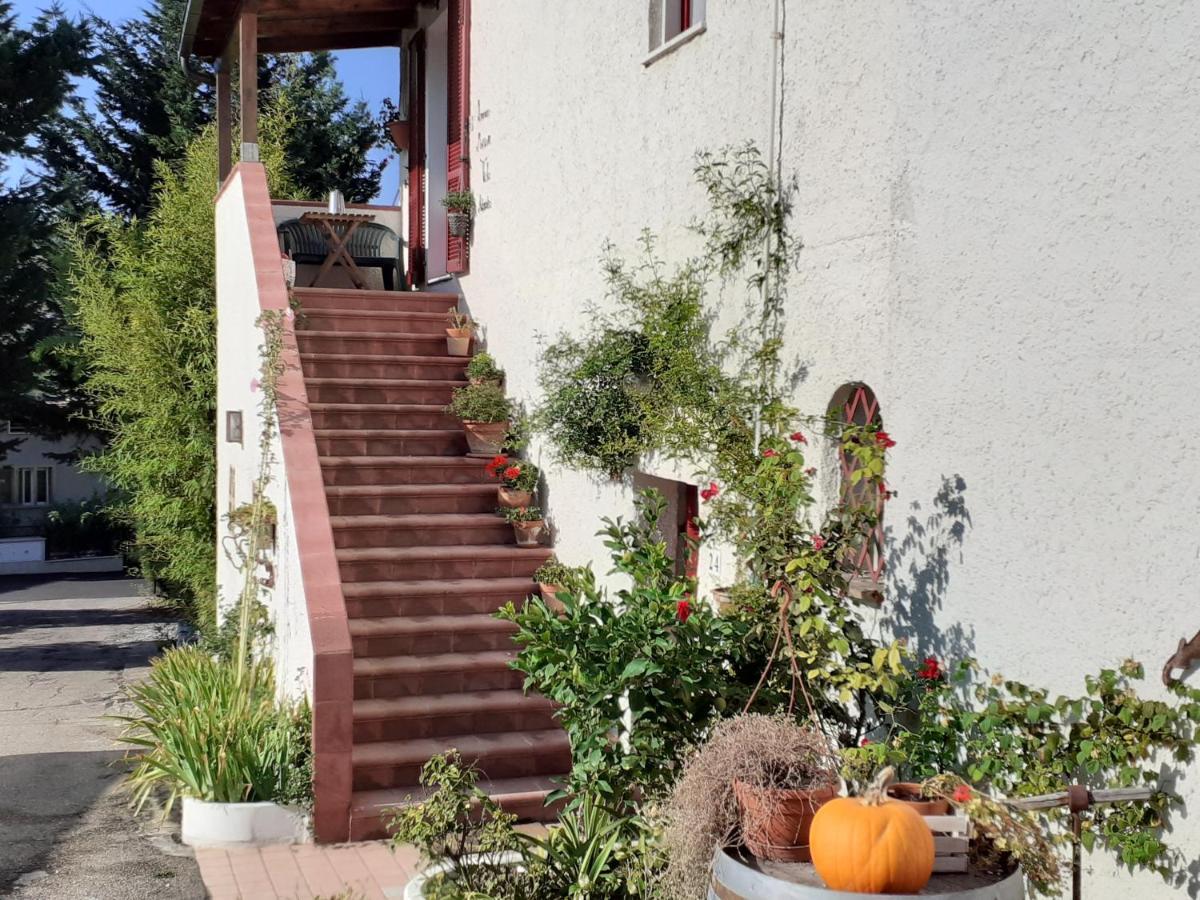Pier Delle Vigne B&B ピネート エクステリア 写真