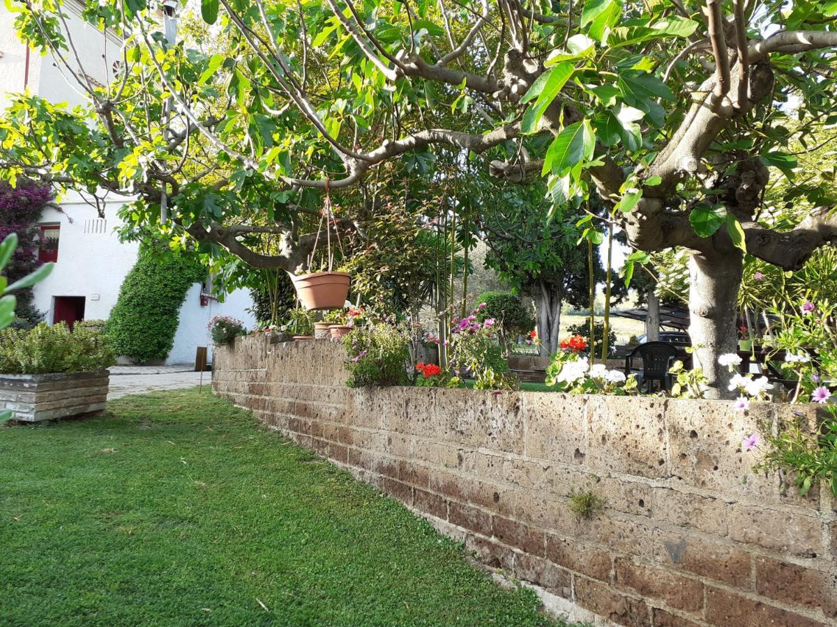 Pier Delle Vigne B&B ピネート エクステリア 写真